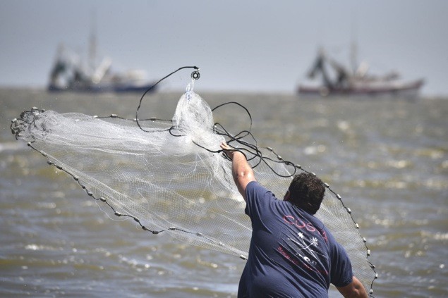 DNR to conduct cast net license lottery